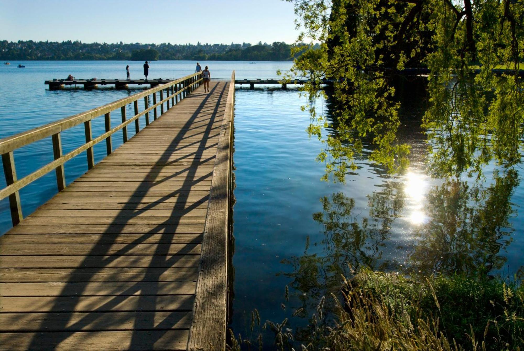 Green Lake 1St Line Home D Full Modern Remodeled Seattle Buitenkant foto